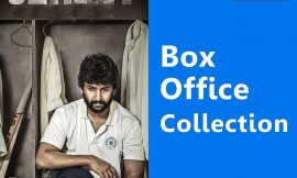 Jersey Box Office Collection Worldwide, India, Hit or Flop, Review, Rating, Wiki